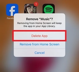 Confirm the operation by choosing Remove App