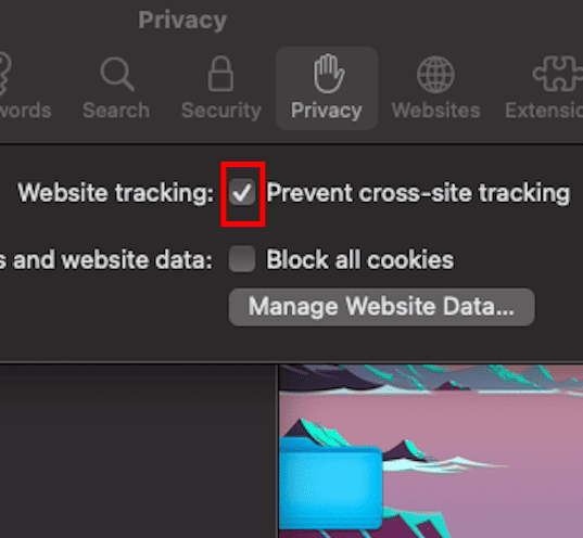 Check Cross-Site Tracking Box