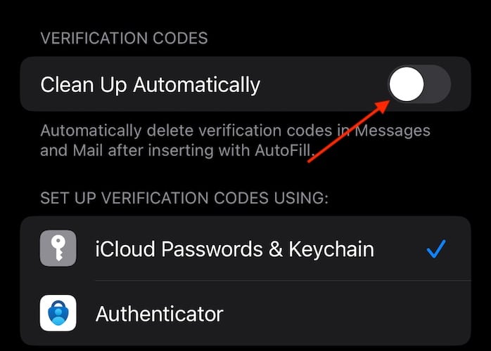 Delete Verification Code iOS 17 Select Clean Up Automatically