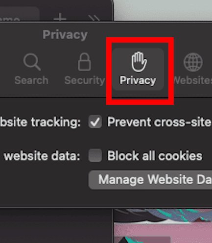 Select Privacy Tab