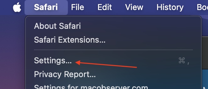 Go to Safari from the menu bar and click Settings.