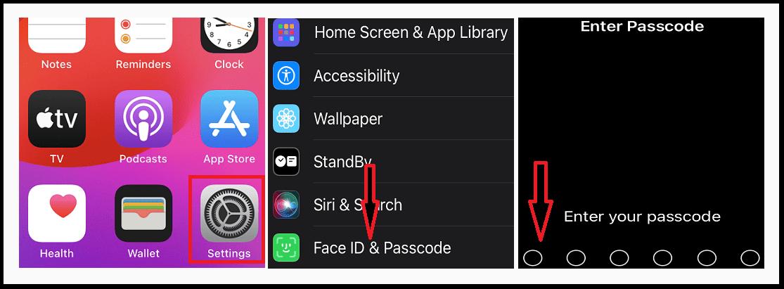 Setting face ID and Passcode