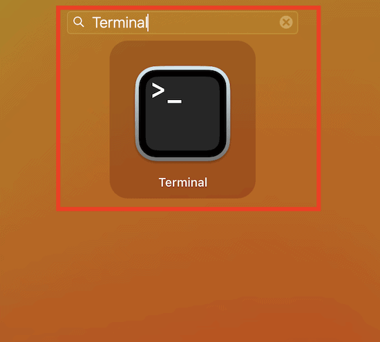 Open Launchpad, search for Terminal