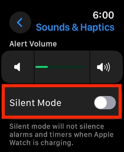 Screenshot Apple Watch Silent Mode