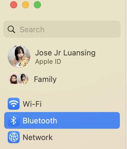 Bluetooth Section in Mac System Settings