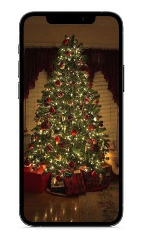 Decorated Christmas Tree 