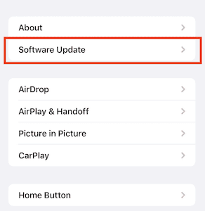 Open Software update option