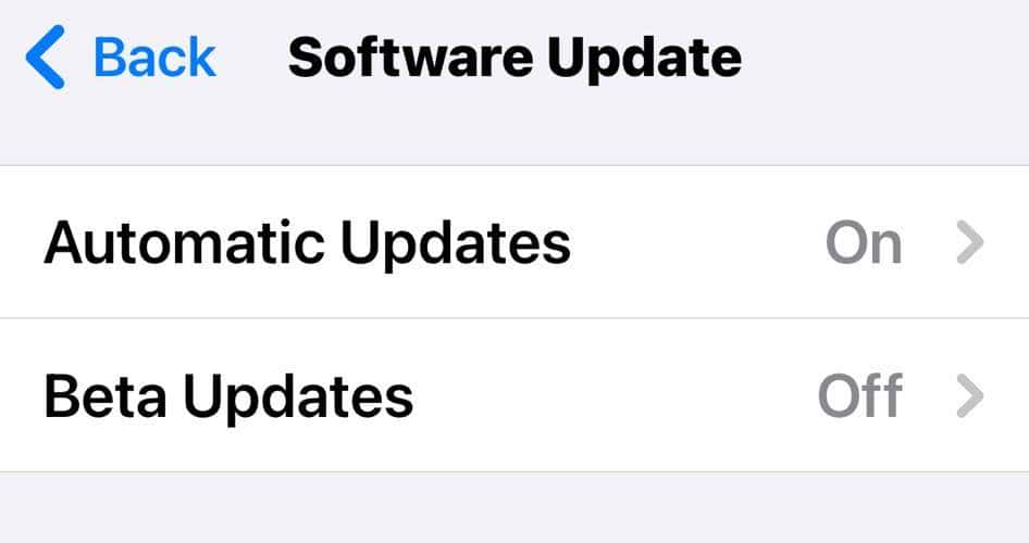 Checking for Software Updates on iPhone