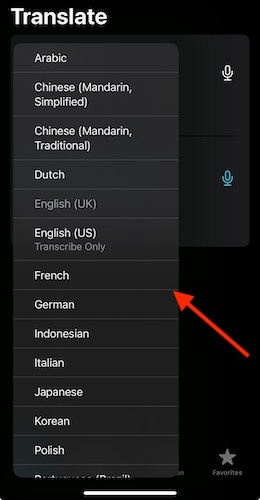 Translate Action Button iOS Choose Language