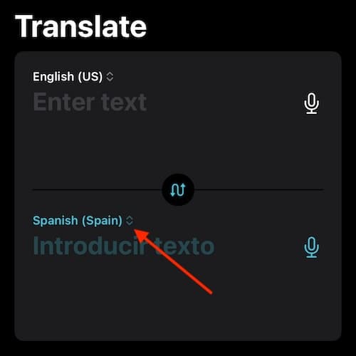 Translate Action Button iOS Translate Menu