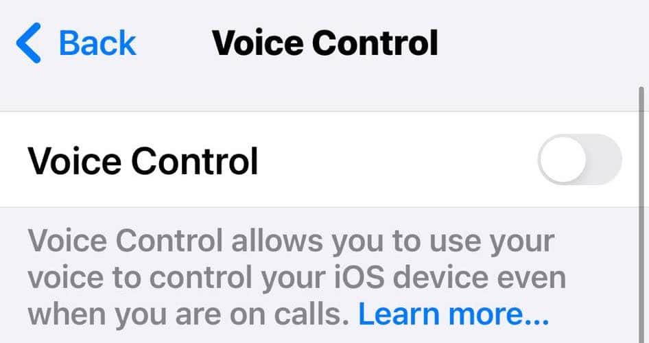Turn Off Voice Control Because Cannot Send Audio Messages at This Time
