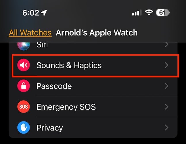 Screenshot Apple Watch Sounds and Haptics