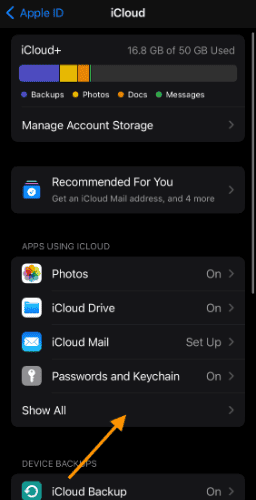 Show all apps in iCloud settings