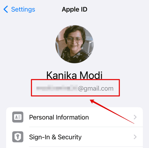 Check Your Apple ID on iPhone