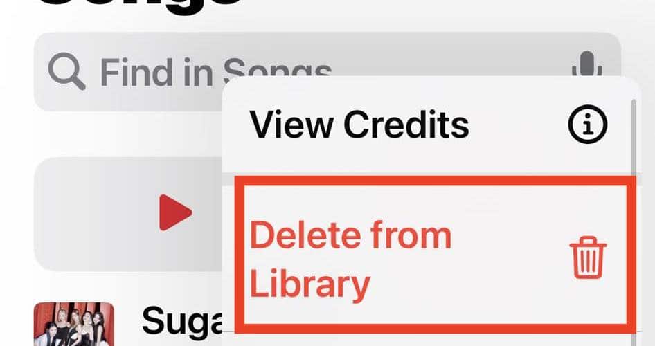 Deleting a Song from your Apple Music Library