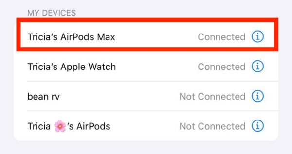 Information Button on AirPods Max iPhone Settings
