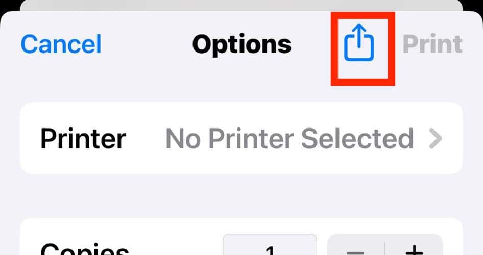 Share Icon When Printing iPhone Screenshot