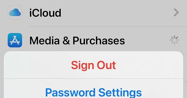 Sign Out of Media and Purchases Through Apple ID on iPhone