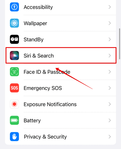 Tap on Siri and Search and open it