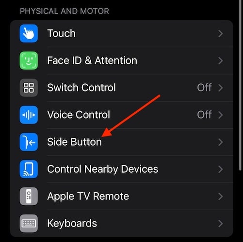 Voice Control Headphones iPhone Tap Side Button