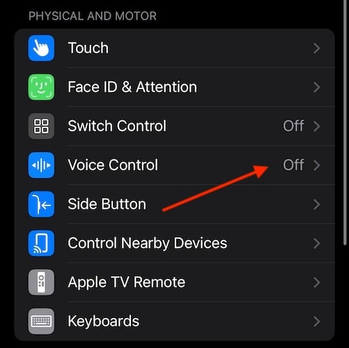 Voice Control Headphones iPhone Turn Off Voice Control