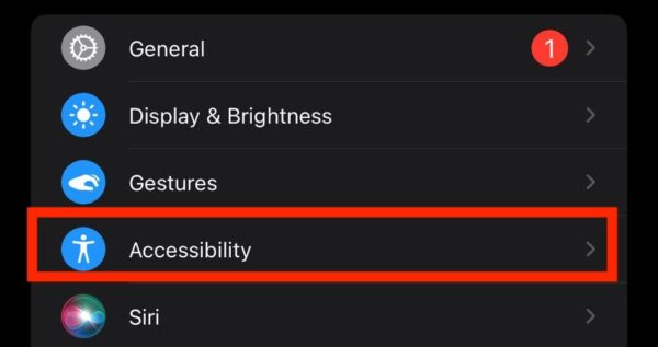 The Accessibility Settings of Apple Watch Accessed on Watch App