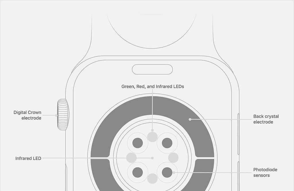 Diagram of all Sensors on an Apple Watch