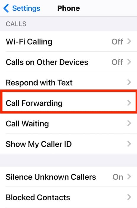 The Call Forwarding Section on iOS Settings App
