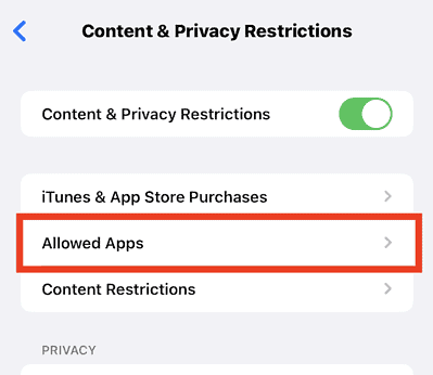 Check the list of Allowed Apps
