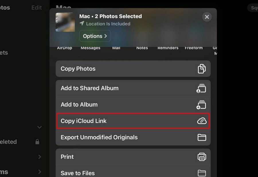 Copy iCloud Link iPad Photos App