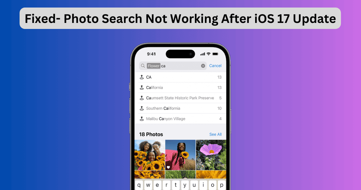 Photo Search Not Working After iOS 17 Update