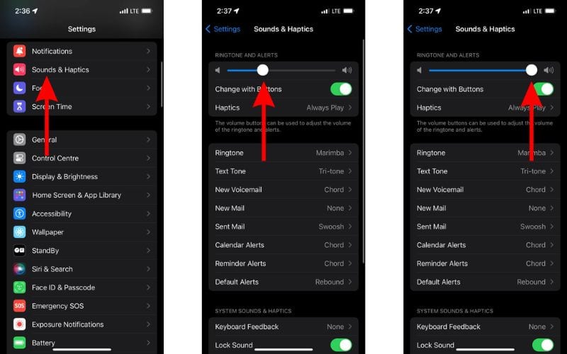 Increase Ringtone Volume on iPhone To Fix iPhone Can’t Receive Calls Issue