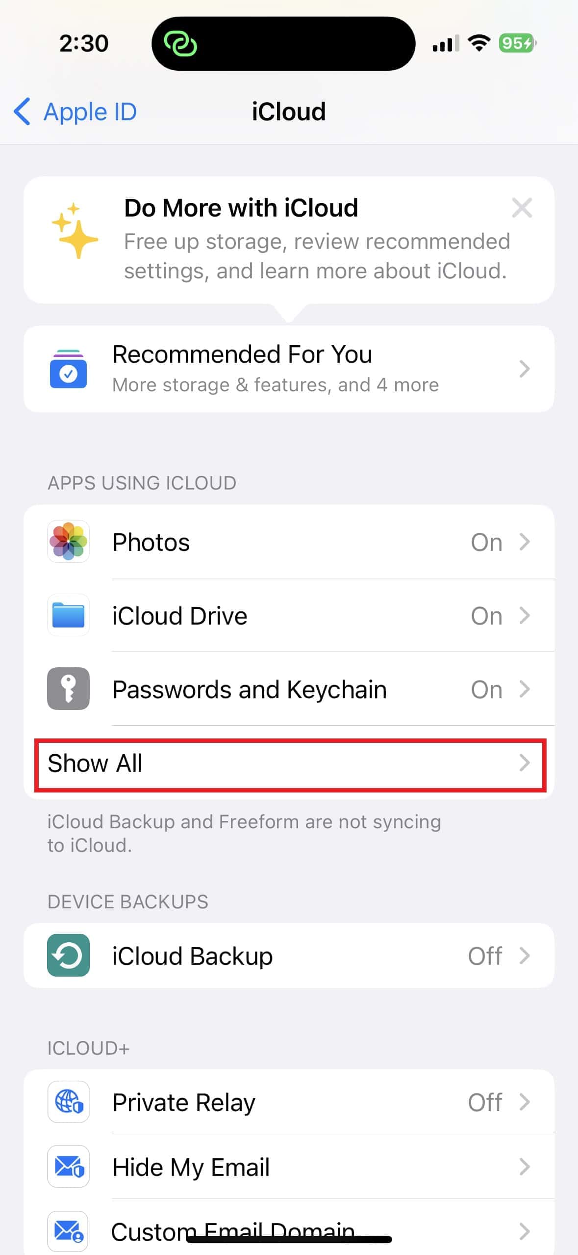 Access all iCloud options in Settings menu on iPhone