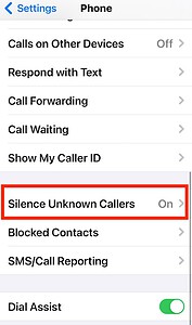 [Solved] iPhone Not Ringing on Incoming Calls