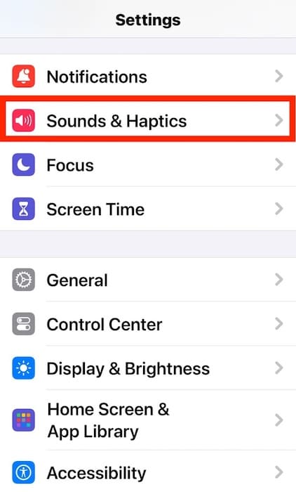 The Sounds and Haptics Option in iOS Settings App