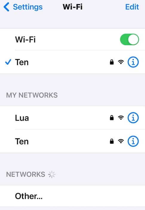 Wi-Fi Connections in iOS Settings