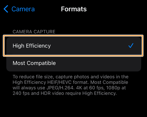 camera format option on iphone