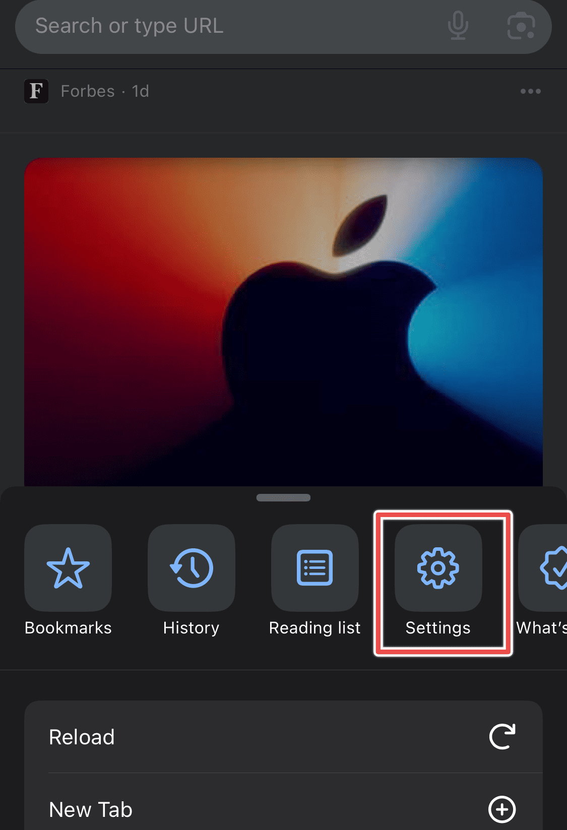 chrome settings option iPhone