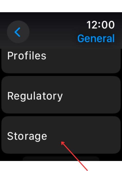 Apple Watch Storage