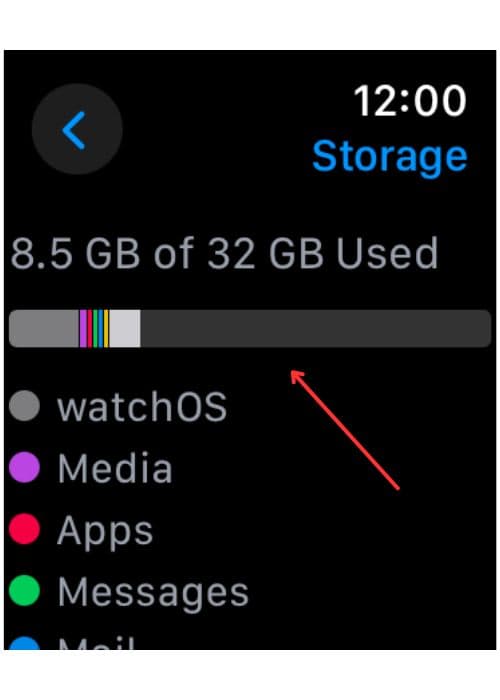 Apple Watch Storage