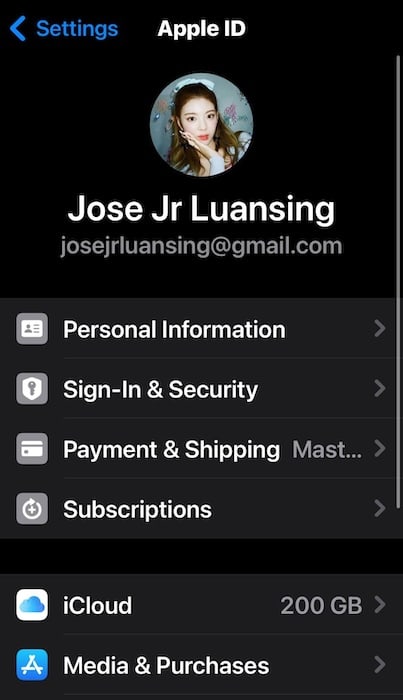 The Apple ID Profile in the iOS Settings