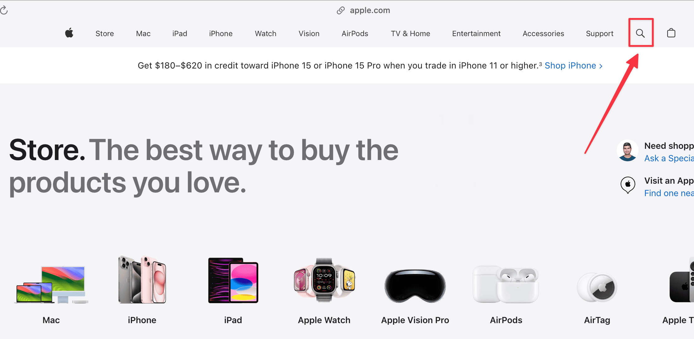 Click the Search icon in Apple Store online