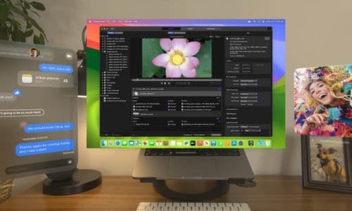 Connect Vision pro to Mac