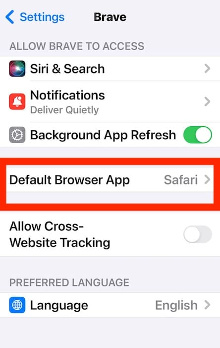 The Section for Default Browser App on iOS Settings