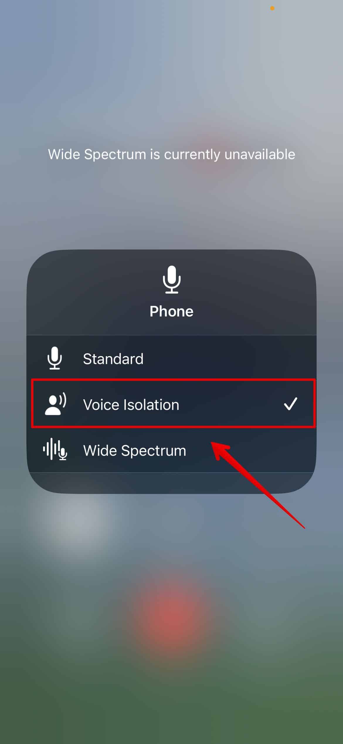 Enable Voice Isolation
