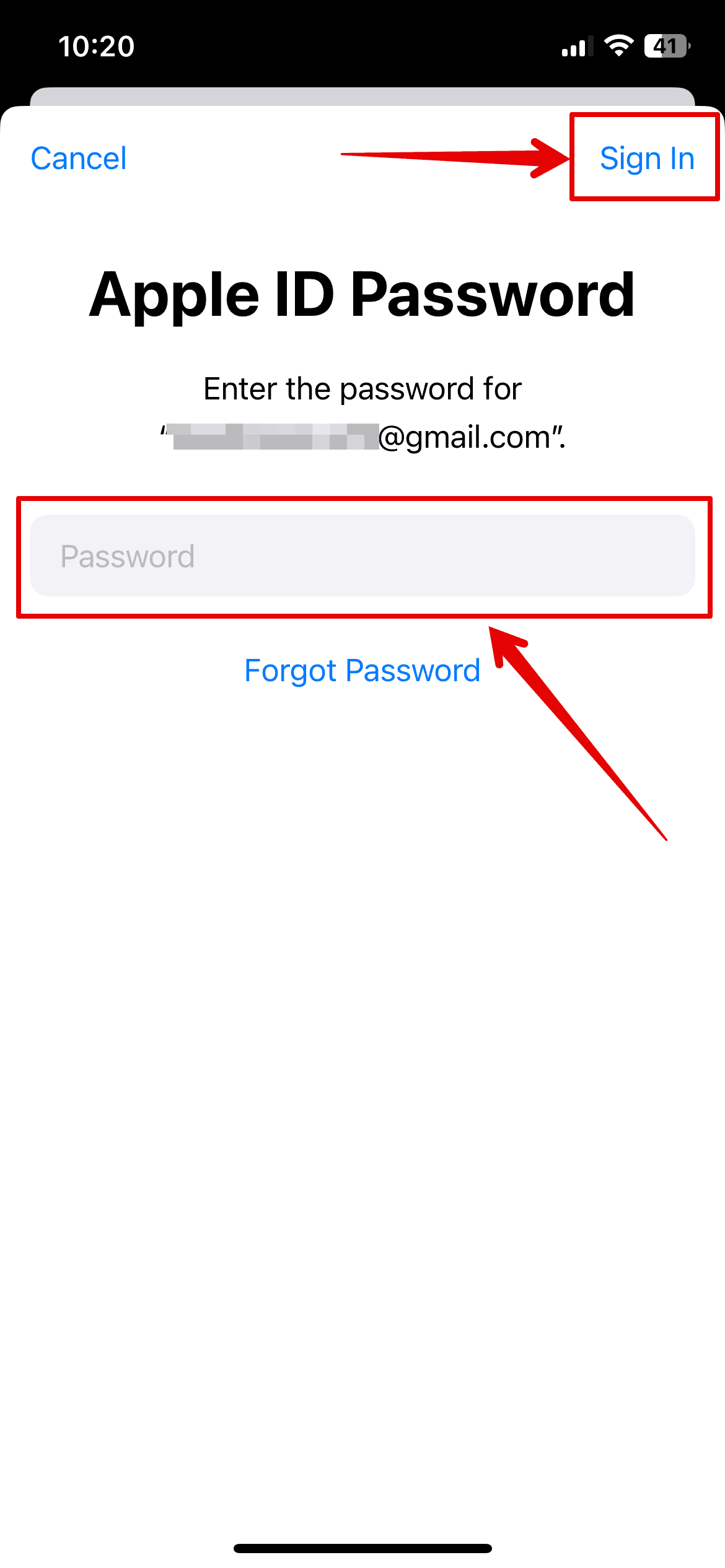 Enter Apple ID password and Sign In