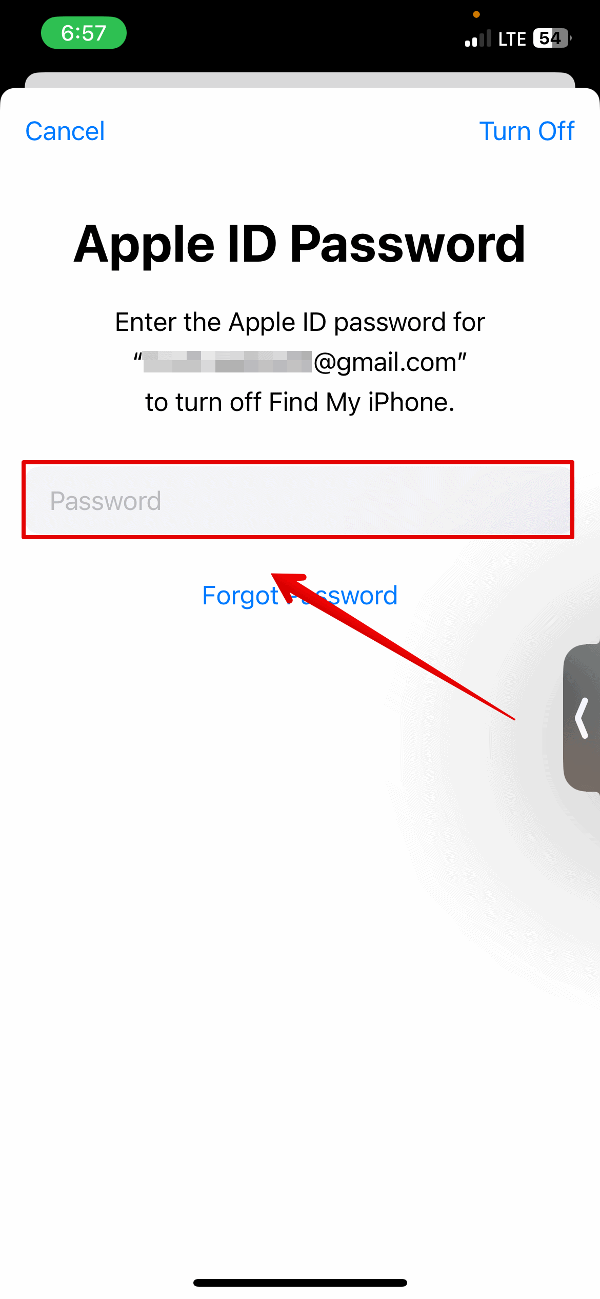 Enter Apple ID password