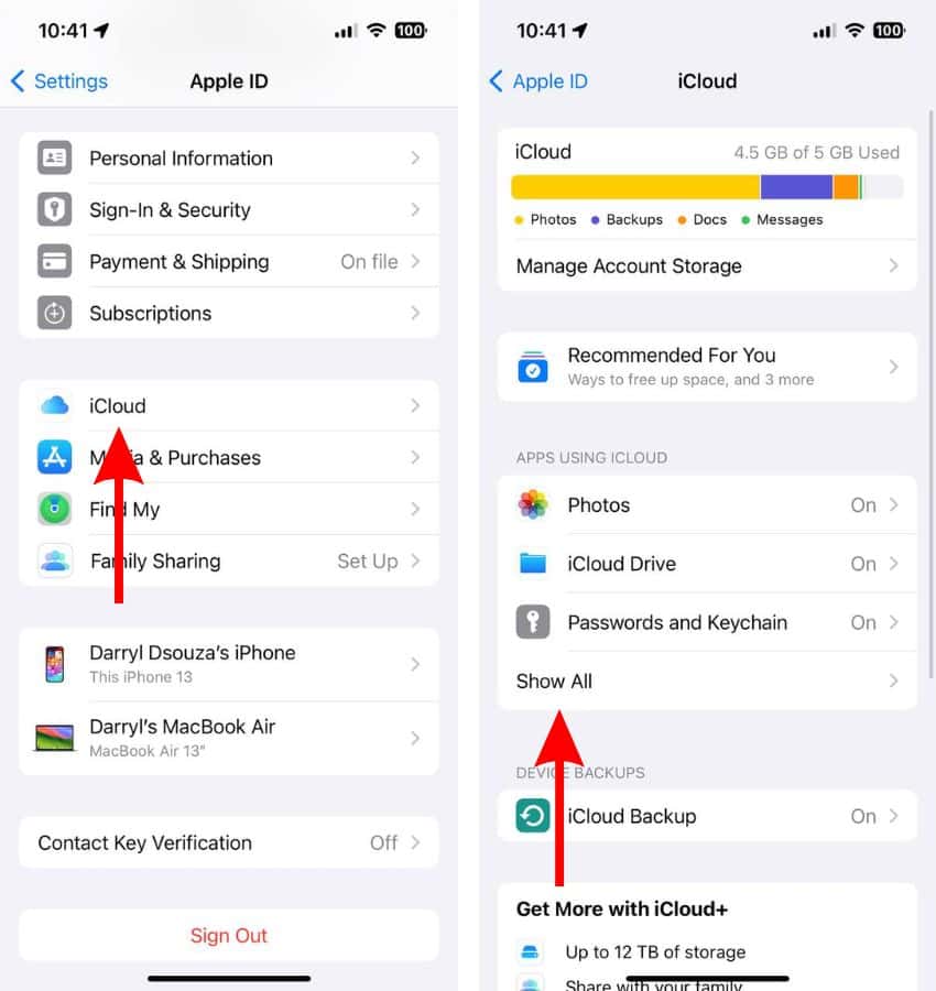 Head to Apps Using iCloud Setting
