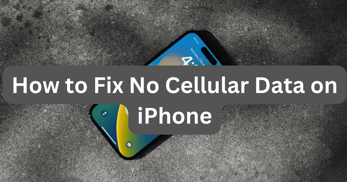 How to Fix No Cellular Data on iPhone