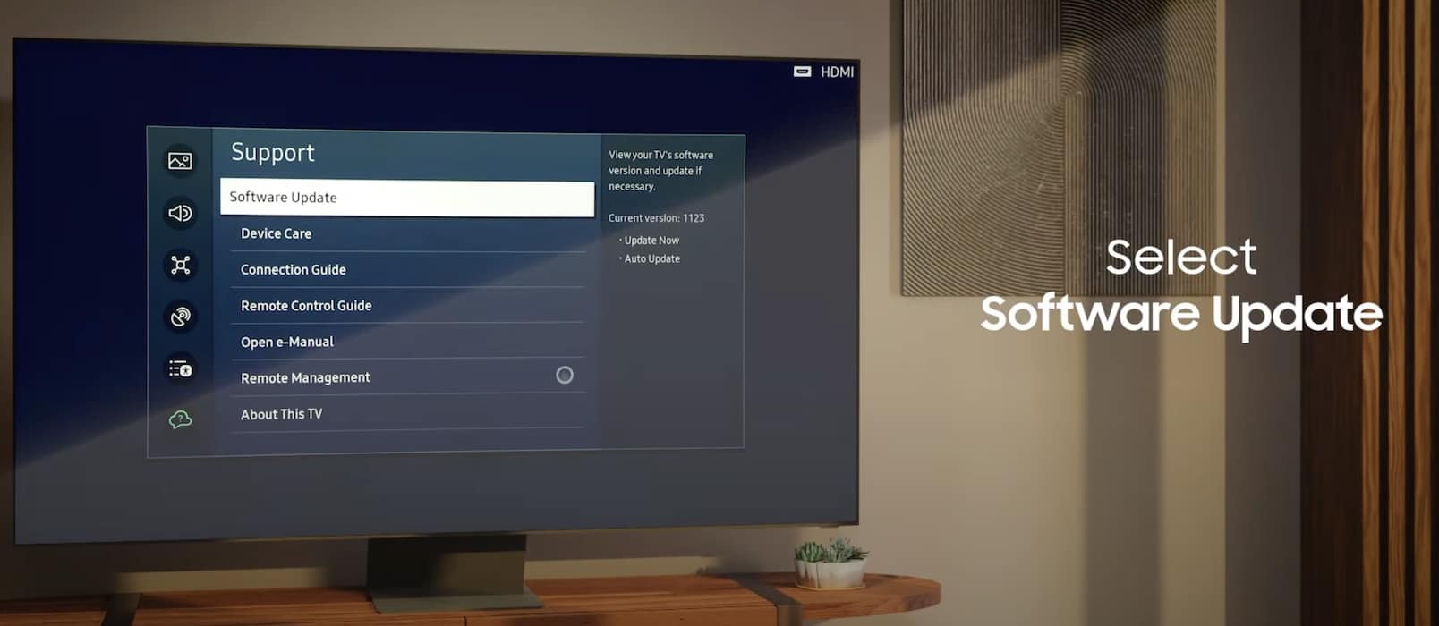 Samsung TV Software Update Section